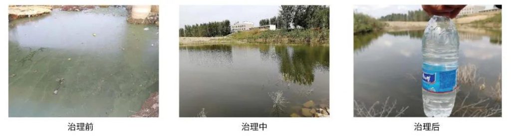 環保科技篇?治水先治泥?不,我們泥水共治!- 環保科技篇?治水先治泥?不,我們泥水共治!-