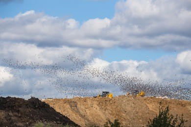 固廢處理技術(shù)發(fā)展情況與未來發(fā)展趨勢(shì)