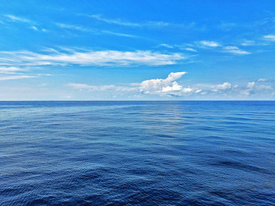 國(guó)際環(huán)保展|東海啟動(dòng)生態(tài)休漁期 多部門聯(lián)合守護(hù)海洋生命線